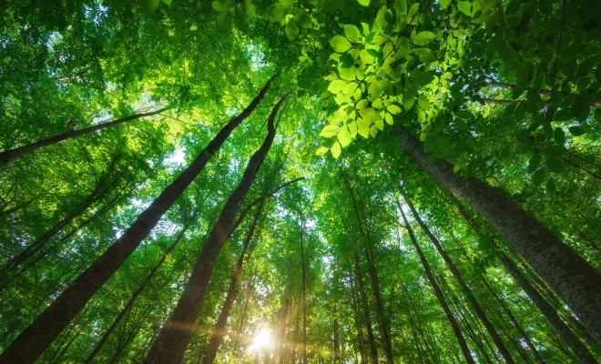 adr-sud-est-lanseaza-doua-apeluri-de-proiecte-din-cadrul-actiunii-24-sustinerea-investitiilor-s24682